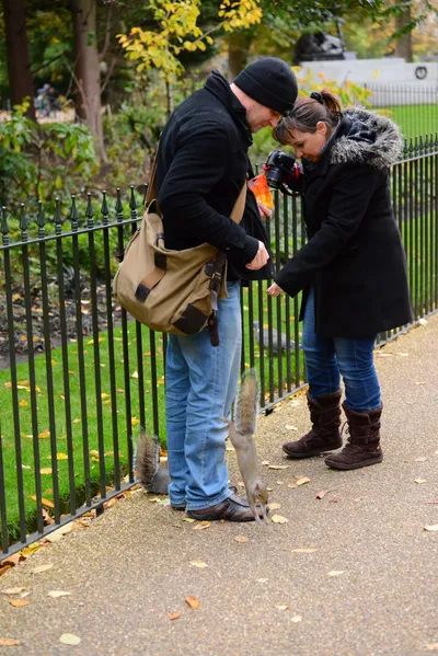 DSC_0614 (Large).JPG